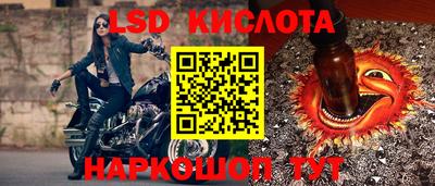 винт Славгород