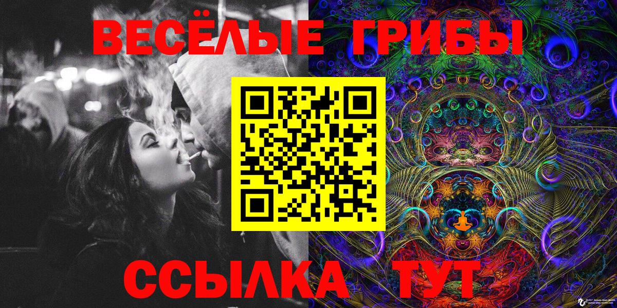Псилоцибиновые грибы Psilocybine cubensis Нарткала