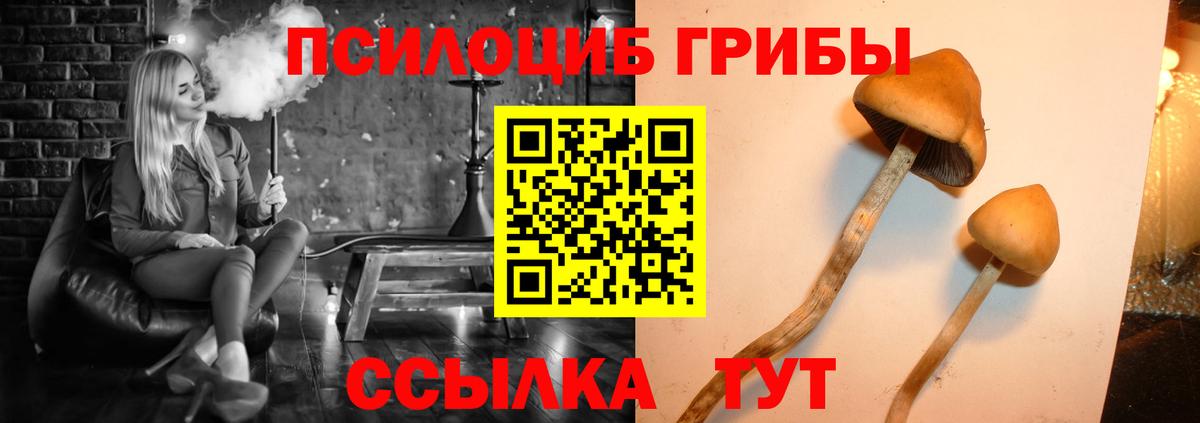 Нарткала  что такое наркотик  Псилоцибиновые грибы Magic Shrooms  Вход с VPN  Псилоцибиновые грибы прущие грибы 
